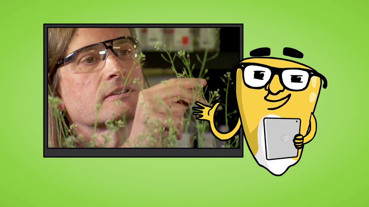 GMO адаптация смотреть онлайн