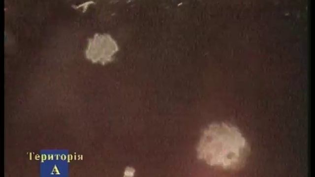 Імпала - Килиманджаро смотреть онлайн
