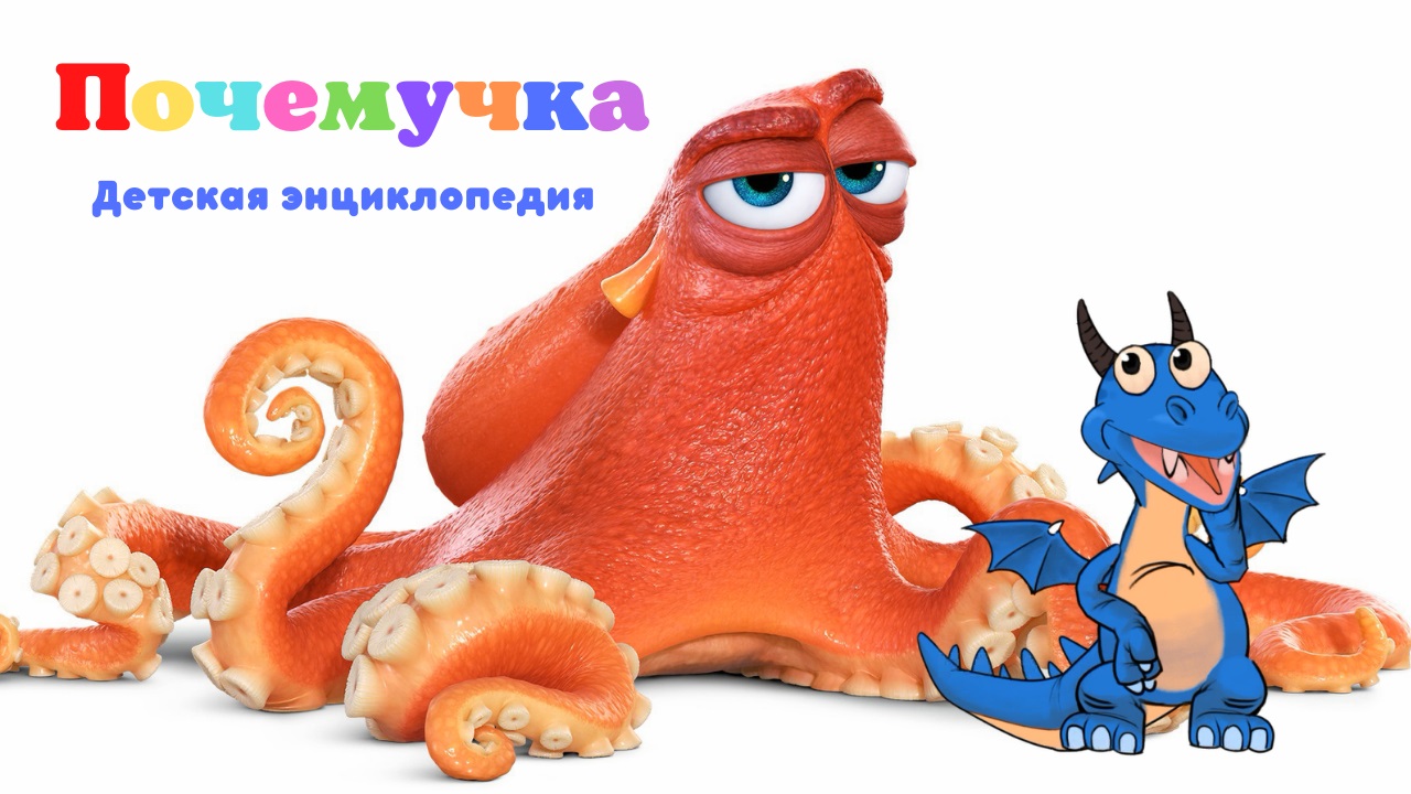 0+ Зачем осьминогу столько ножек? Почемучка. Энциклопедия для детей. смотреть онлайн