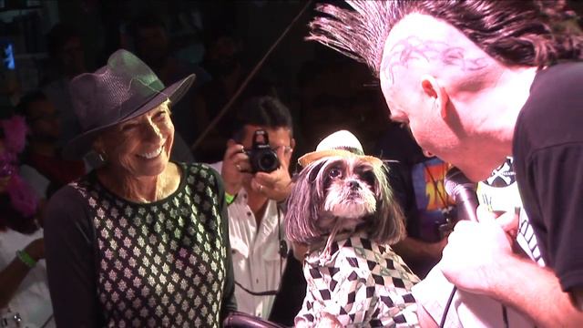 MOONFEST CLEMATIS STREET WEST PALM BEACH HALLOWEEN FESTIVAL CONCERT PARTY смотреть онлайн