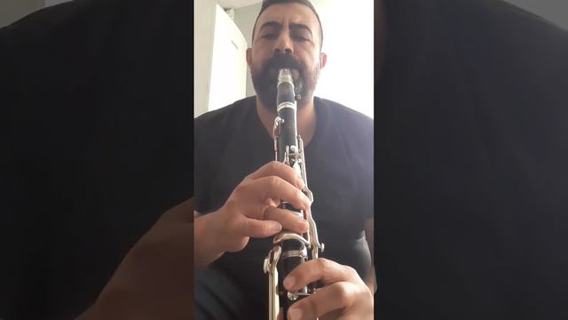 Cenk Dinçer Amati ACL 340 Yenileme Ve 8 Numara Şeffaf Bek Ayarı смотреть онлайн
