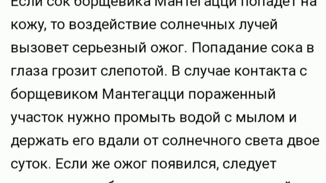Ядовитые Растения Беларуси смотреть онлайн