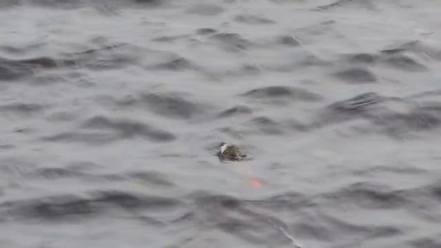 Взрослый поплавок- перевертыш "Акробат" смотреть онлайн