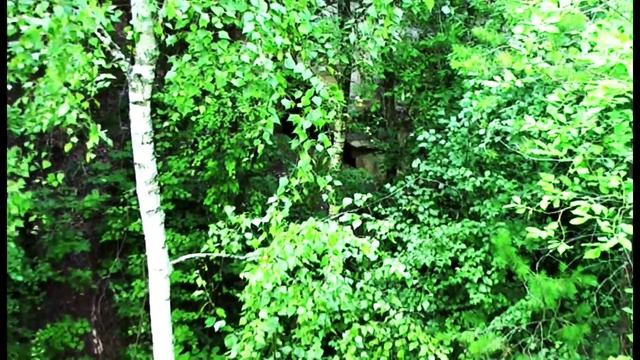 Каменное урочище - Ичалки - Нижегородская область смотреть онлайн