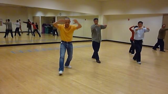 Tai Chi 108 Steps Form   Taiji 108 Forms