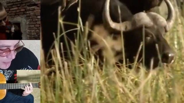 ОПЕРА 2. ВИТАС (МЯСО АТАКУЕТ ТЕБЯ. Ру Ра автопилот) смотреть онлайн