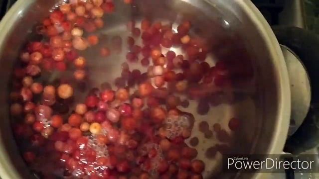 Брусничный морс для профилактики заболеваний моче-половой системы смотреть онлайн