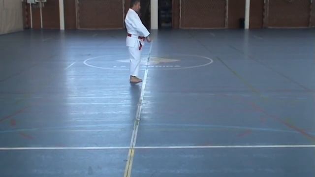 Kata Chintei Shito-ryu Karate-Do смотреть онлайн