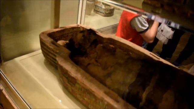 Royal Ontario Museum Tour HD смотреть онлайн