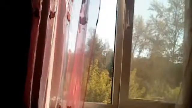 следующий по счету день теста