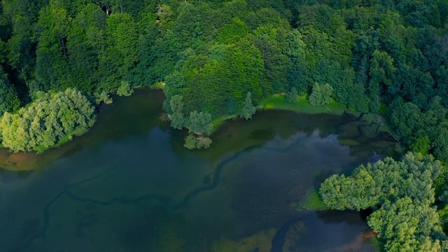 Travel Mauritius Islands in 4K Ultra HD Video by Drone View | The Heaven of Earth | Cinematic Tour смотреть онлайн