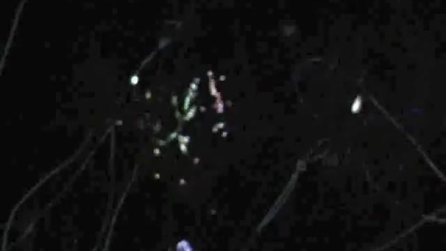 Даниэль Каногар: 4 Биеннале Современного искусства смотреть онлайн