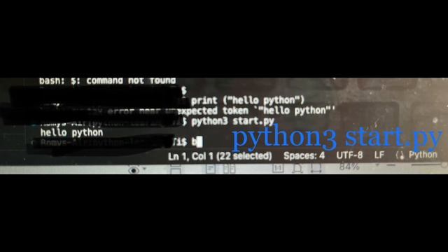 Visual Studio Code, installed for python, but the terminal shows’ commands not found’ смотреть онлайн