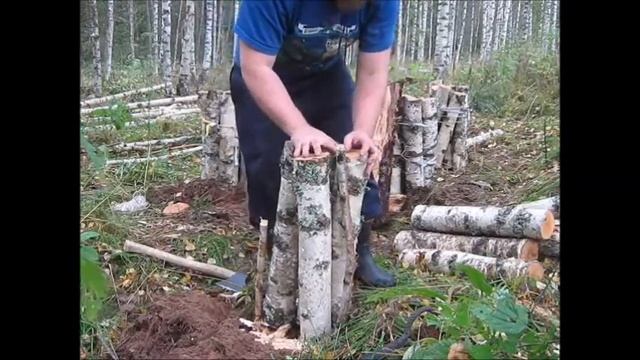 Как посадить опенок и что получится через 2 года смотреть онлайн