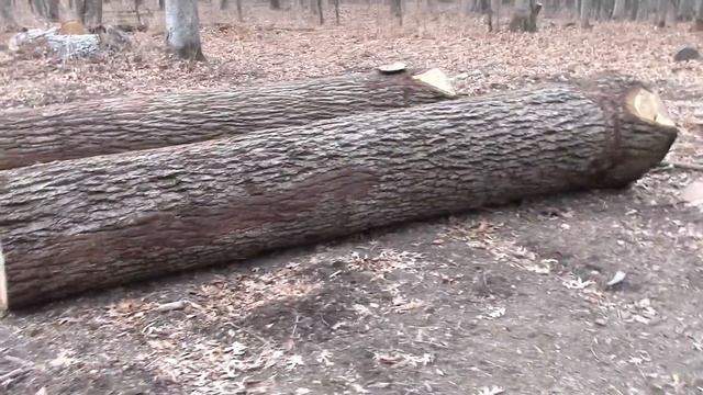 Log Buying смотреть онлайн