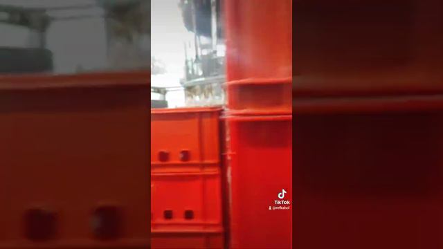 убой и потрошение курицы смотреть онлайн
