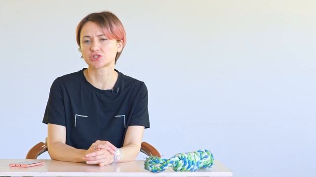 Как познакомить собак смотреть онлайн