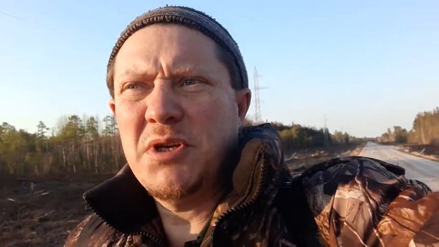 Чирки. Разнообразие видов смотреть онлайн