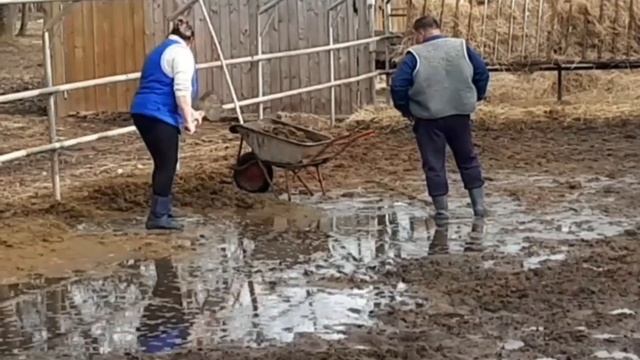 Прикол на 8 марта! С праздником весны смотреть онлайн