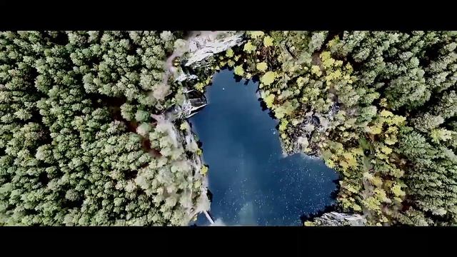 Сысерть птичего Полёта смотреть онлайн