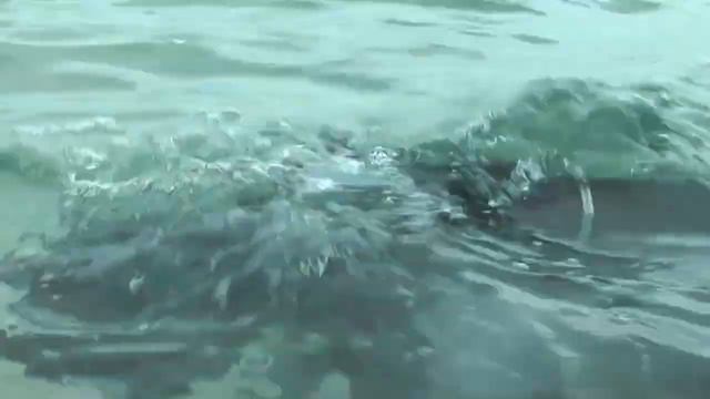 scuba diving girl смотреть онлайн