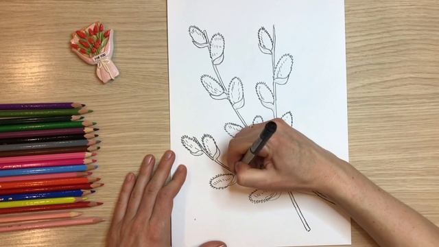 Верба рисунок. Как нарисовать вербу карандашом. Вербное воскресенье рисунок. Веточка рисунок. смотреть онлайн