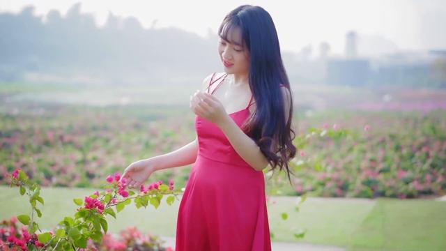 Can't Help Falling In Love Saxophone Mp3 Download 🎷 Swing saxophone music 220 смотреть онлайн