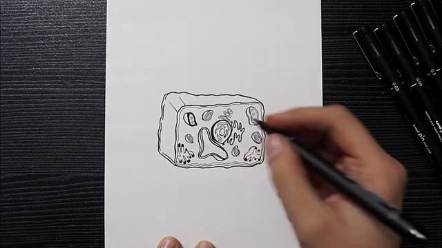 Diagram of Plant Cell || How To Draw Plant Cell Easy Step By Step || Plant Cell Diagram смотреть онлайн