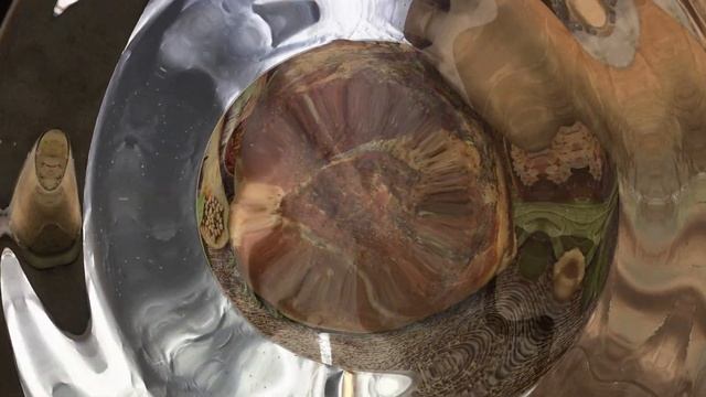 Вдохновение на Тарелке