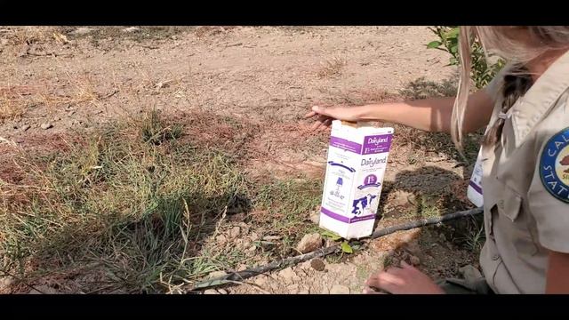 Biodiversity CHAMPIONS смотреть онлайн