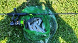 Эта приманка сделала ВСЮ рыбалку!