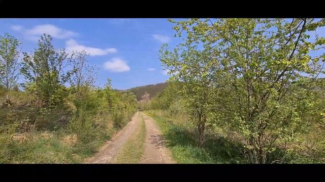Oberkirchen. Одуванчики везде! Всех с праздником матери! И наступающим днём победы! смотреть онлайн