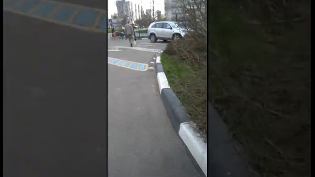 Пенсионный фонд г. Химки затеял неладное