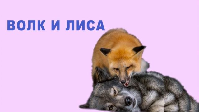 Аудиосказка Волк и Лиса.Якутская сказка. смотреть онлайн