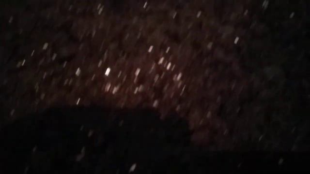 Посев семян эустомы. смотреть онлайн