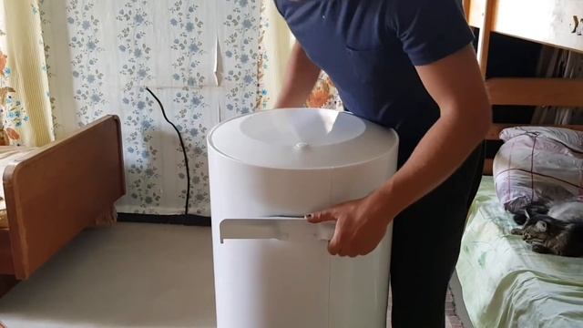 Первые осенние грибы . Ремонт в котельной продолжается.Будут ли клички у поросят от свинки "Бочки"? смотреть онлайн