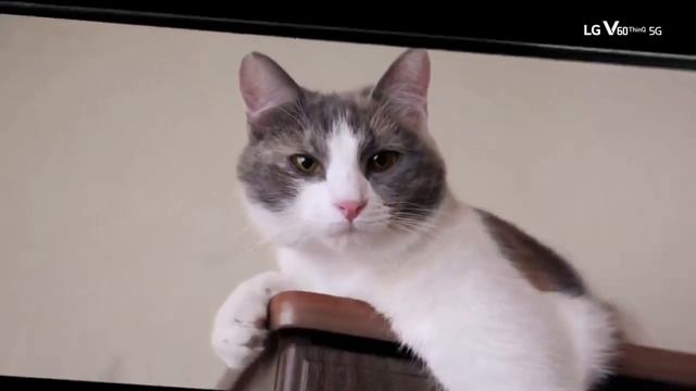 📲 Estos TELÉFONOS GAMA ALTA PREMIUM están BAJANDO MUCHO DE PRECIO!!🔥 смотреть онлайн