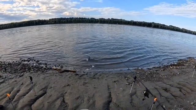 1ч МЫ НЕ ЗА РЫБОЙ, МЫ НА РЫБАЛКУ. смотреть онлайн