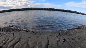 1ч МЫ НЕ ЗА РЫБОЙ, МЫ НА РЫБАЛКУ.