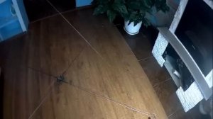 Хапуга хлопок, от очень хорошего мастера,  Обзор новой хапужки для рыбалки сделанной специалистом