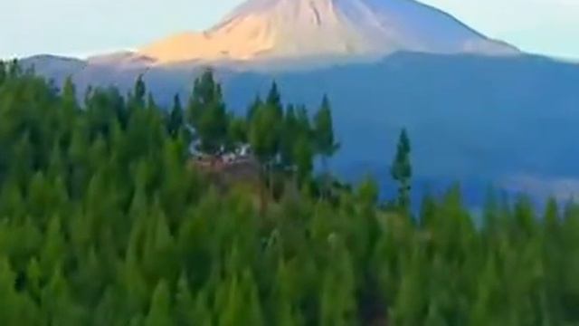 30 мая день Канарских островов