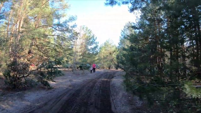 Видос выходного дня bashan bs 250 & Yamaha kodiak 450 смотреть онлайн