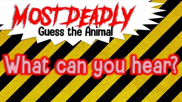 Guess The Animal Sound Game | Most Deadly Animal Quiz