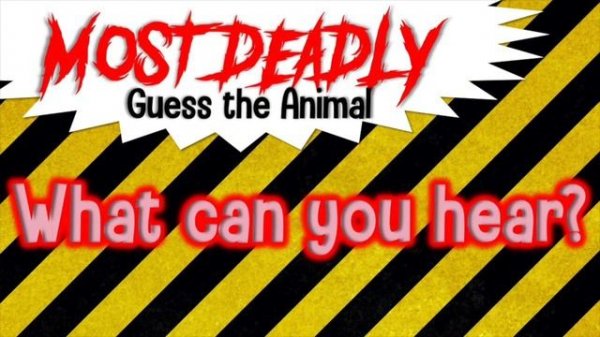 Guess the Animal Sound Game | Most Deadly Animal Quiz