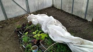 Теплица в апреле. Заморозки. смотреть онлайн