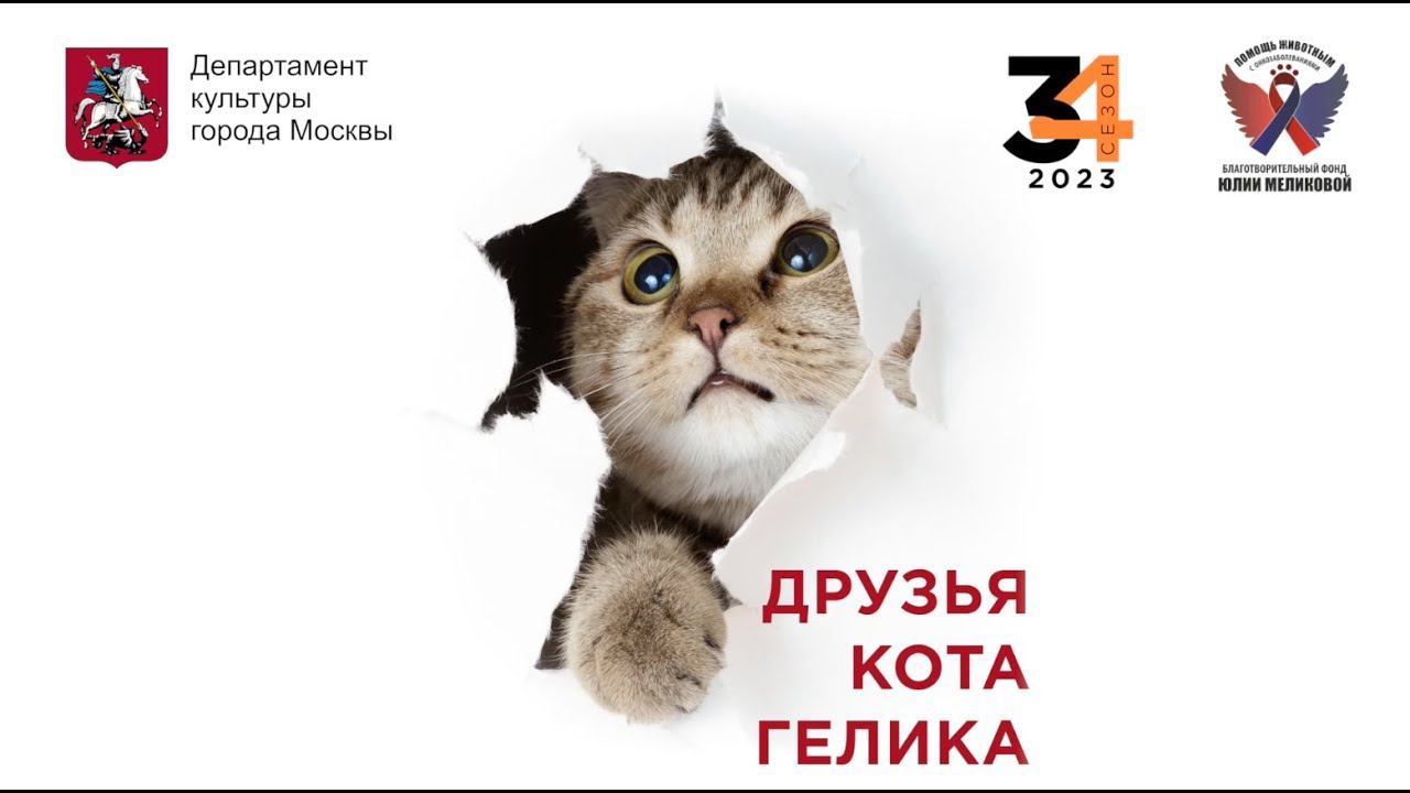 Фотовыставка «Друзья кота Гелика» смотреть онлайн