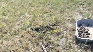 металлокоп с новым металлоискателем.TX630