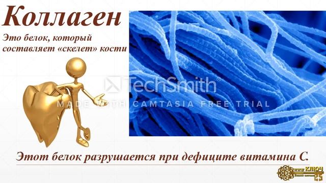 Wellness.KEY Костная масса тела смотреть онлайн