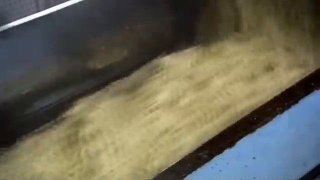 Сахарная свекла смотреть онлайн