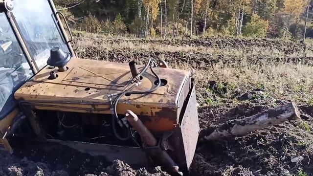#новости на #Алтае #рекультивация земель в Чарышском районе после добычи золота. Посадка деревьев смотреть онлайн